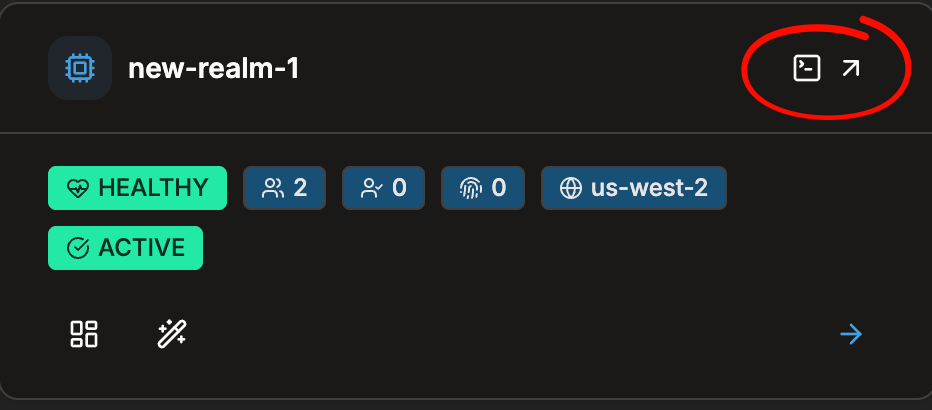 Phase Two Realms View Open Console Link